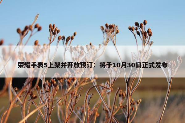 荣耀手表5上架并开放预订：将于10月30日正式发布