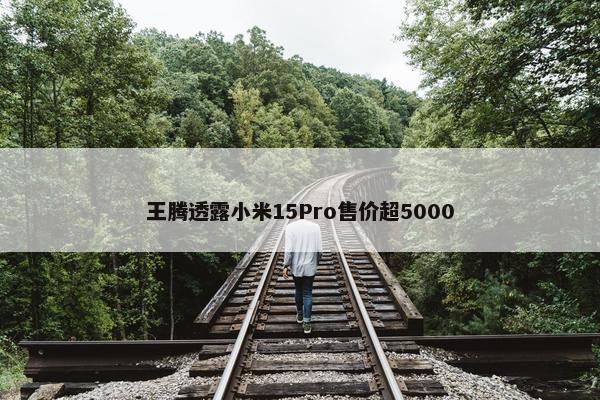 王腾透露小米15Pro售价超5000