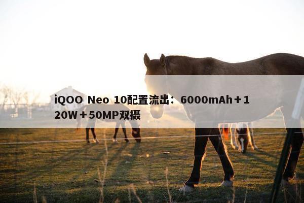 iQOO Neo 10配置流出：6000mAh＋120W＋50MP双摄