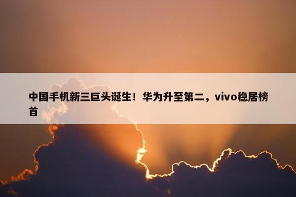 中国手机新三巨头诞生！华为升至第二，vivo稳居榜首