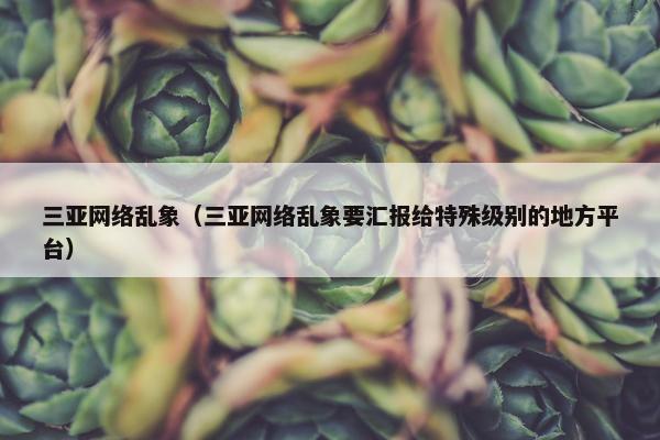 三亚网络乱象（三亚网络乱象要汇报给特殊级别的地方平台）