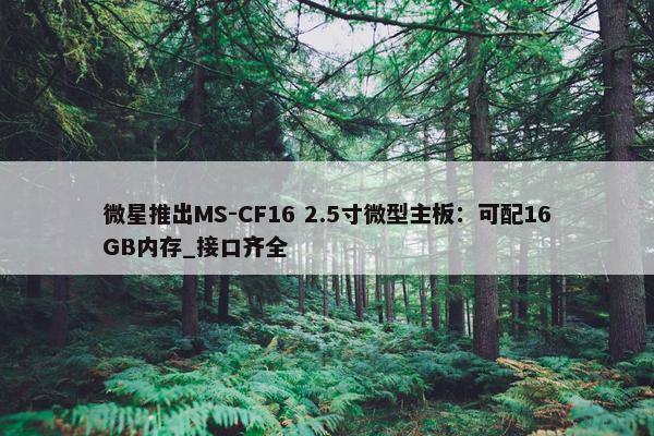 微星推出MS-CF16 2.5寸微型主板：可配16GB内存_接口齐全