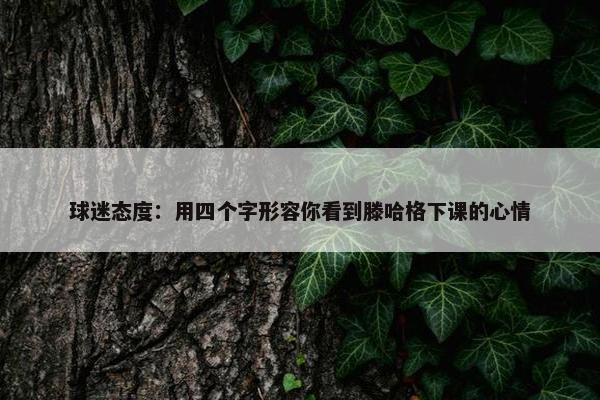 球迷态度：用四个字形容你看到滕哈格下课的心情