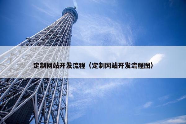 定制网站开发流程（定制网站开发流程图）