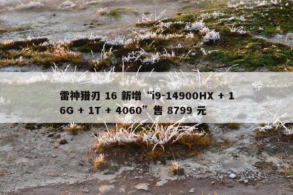 雷神猎刃 16 新增“i9-14900HX + 16G + 1T + 4060”售 8799 元