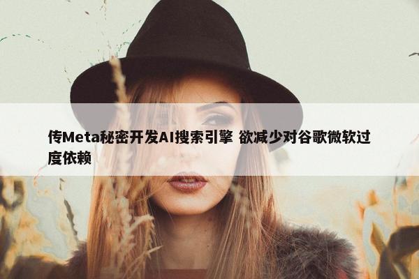 传Meta秘密开发AI搜索引擎 欲减少对谷歌微软过度依赖