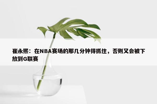 崔永熙：在NBA赛场的那几分钟得抓住，否则又会被下放到G联赛