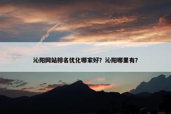 沁阳网站排名优化哪家好？沁阳哪里有？