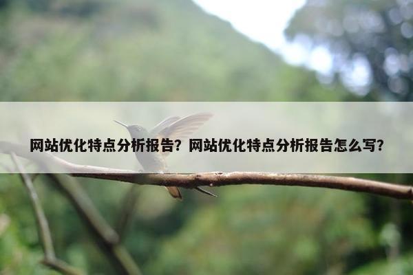 网站优化特点分析报告？网站优化特点分析报告怎么写？