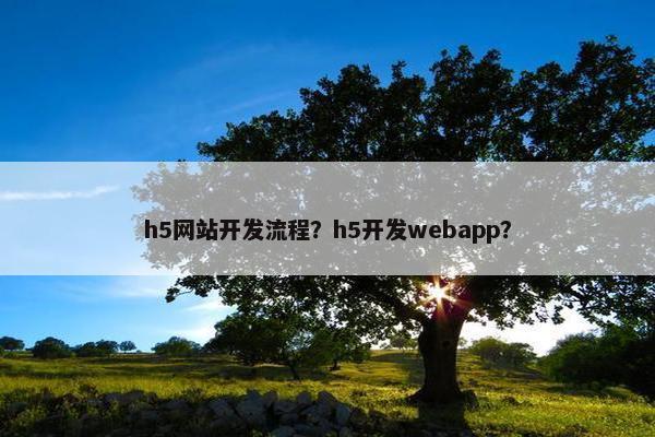 h5网站开发流程？h5开发webapp？