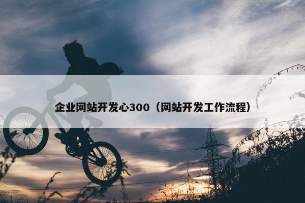 企业网站开发心300（网站开发工作流程）