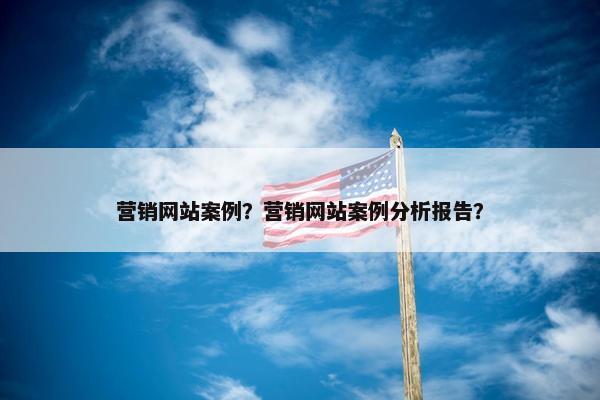 营销网站案例？营销网站案例分析报告？