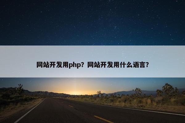 网站开发用php？网站开发用什么语言？