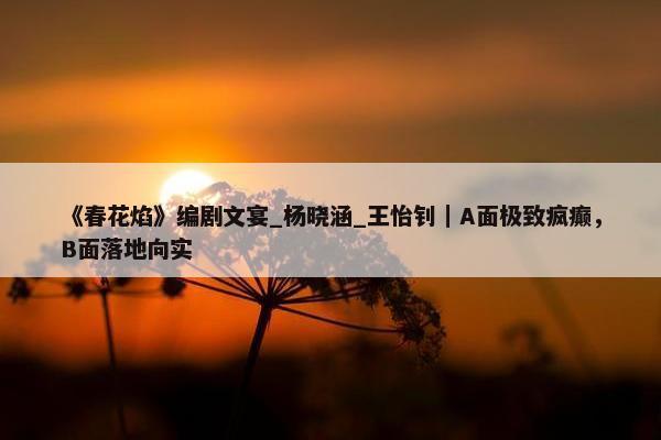 《春花焰》编剧文宴_杨晓涵_王怡钊｜A面极致疯癫，B面落地向实