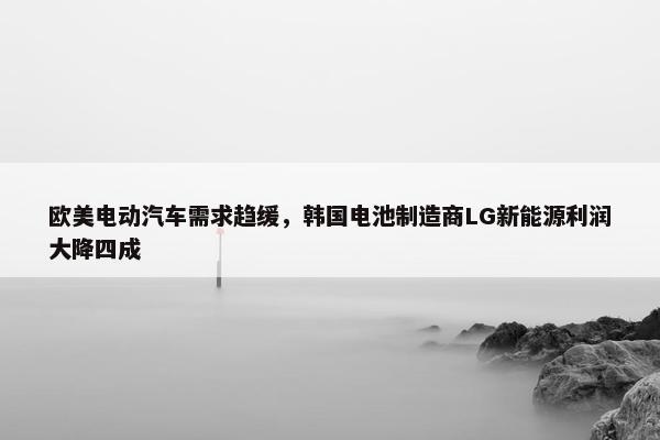 欧美电动汽车需求趋缓，韩国电池制造商LG新能源利润大降四成