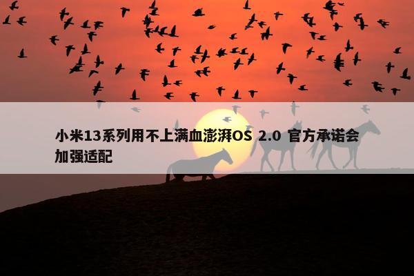 小米13系列用不上满血澎湃OS 2.0 官方承诺会加强适配