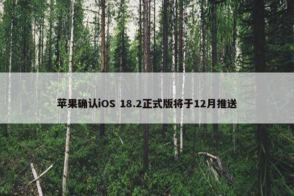 苹果确认iOS 18.2正式版将于12月推送