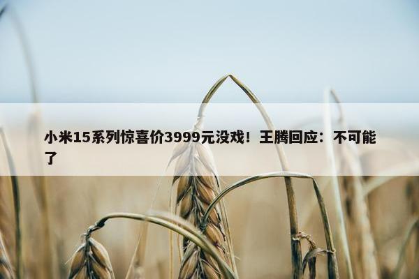 小米15系列惊喜价3999元没戏！王腾回应：不可能了