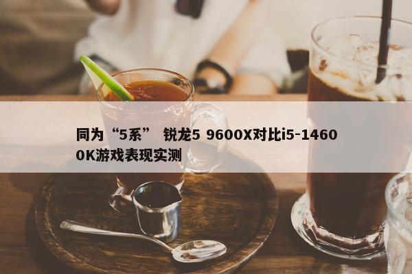 同为“5系” 锐龙5 9600X对比i5-14600K游戏表现实测