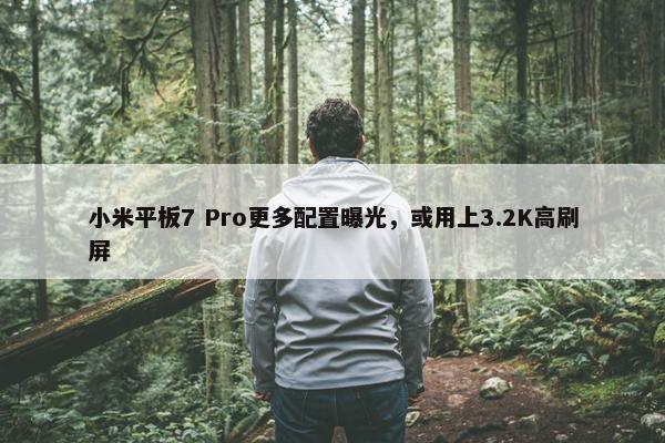 小米平板7 Pro更多配置曝光，或用上3.2K高刷屏