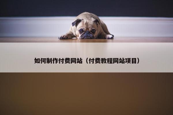 如何制作付费网站（付费教程网站项目）