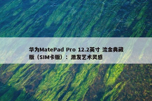 华为MatePad Pro 12.2英寸 流金典藏版（SIM卡版）：激发艺术灵感