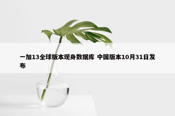 一加13全球版本现身数据库 中国版本10月31日发布