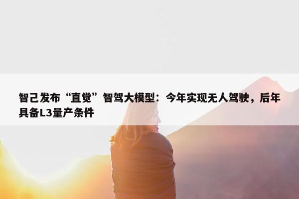 智己发布“直觉”智驾大模型：今年实现无人驾驶，后年具备L3量产条件