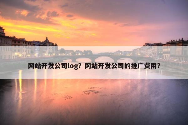 网站开发公司log？网站开发公司的推广费用？