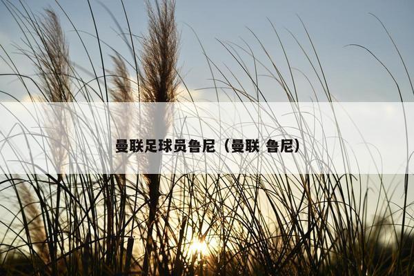 曼联足球员鲁尼（曼联 鲁尼）