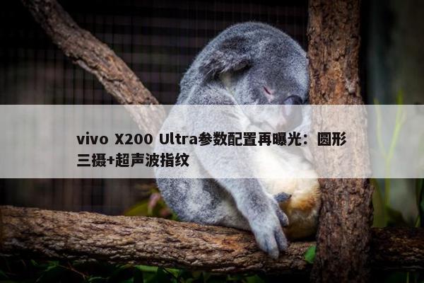 vivo X200 Ultra参数配置再曝光：圆形三摄+超声波指纹