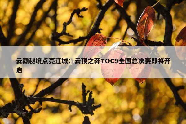 云巅秘境点亮江城：云顶之弈TOC9全国总决赛即将开启