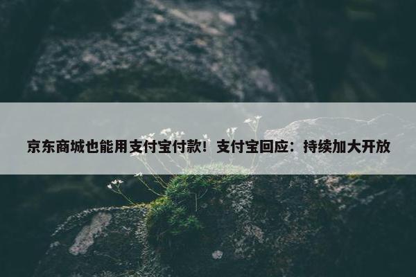 京东商城也能用支付宝付款！支付宝回应：持续加大开放