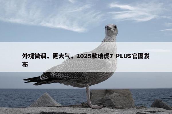 外观微调，更大气，2025款瑞虎7 PLUS官图发布