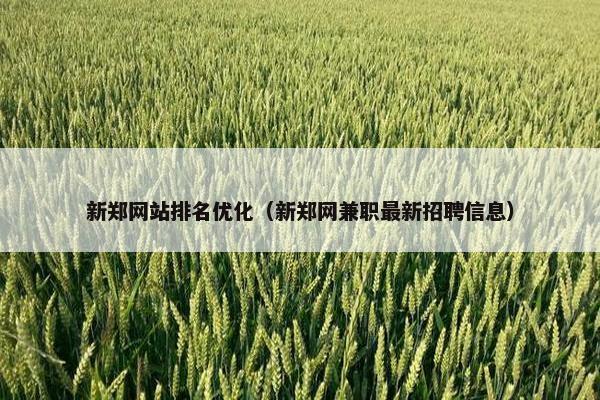 新郑网站排名优化（新郑网兼职最新招聘信息）