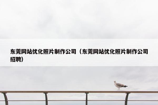 东莞网站优化照片制作公司（东莞网站优化照片制作公司招聘）