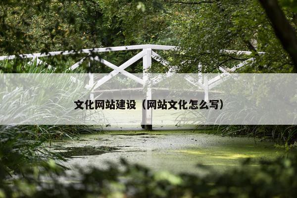 文化网站建设（网站文化怎么写）