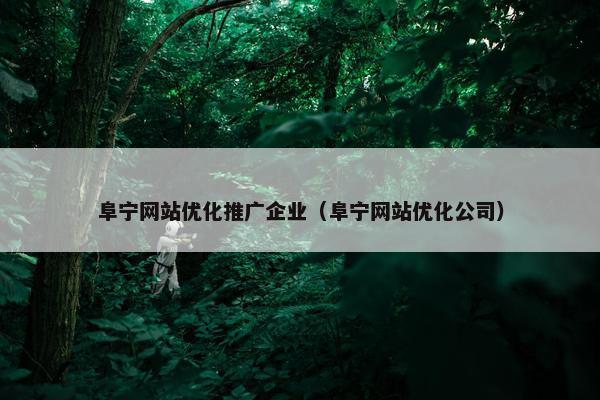 阜宁网站优化推广企业（阜宁网站优化公司）