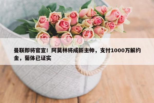 曼联即将官宣！阿莫林将成新主帅，支付1000万解约金，葡体已证实