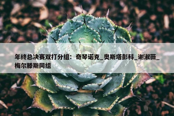 年终总决赛双打分组：奇琴诺克_奥斯塔彭科_谢淑薇_梅尔滕斯同组