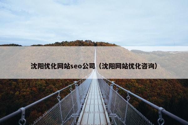 沈阳优化网站seo公司（沈阳网站优化咨询）