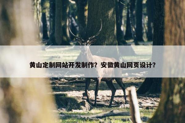 黄山定制网站开发制作？安徽黄山网页设计？