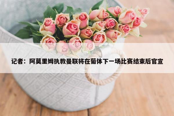 记者：阿莫里姆执教曼联将在葡体下一场比赛结束后官宣