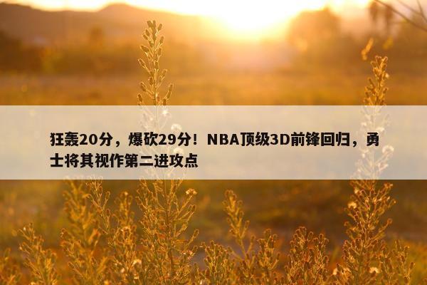 狂轰20分，爆砍29分！NBA顶级3D前锋回归，勇士将其视作第二进攻点