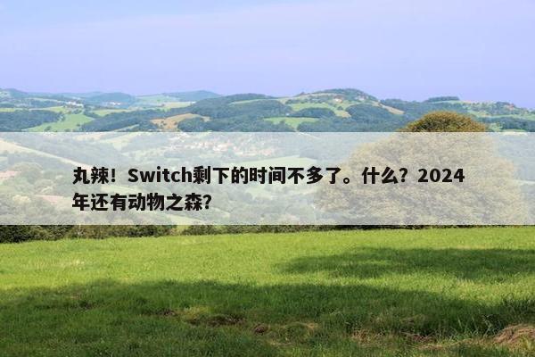 丸辣！Switch剩下的时间不多了。什么？2024年还有动物之森？