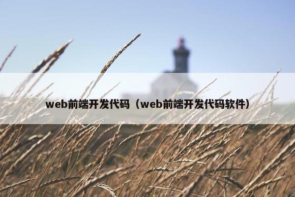 web前端开发代码（web前端开发代码软件）