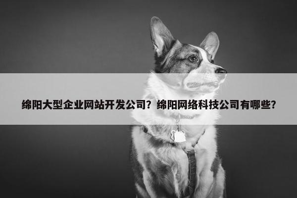 绵阳大型企业网站开发公司？绵阳网络科技公司有哪些？