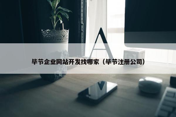 毕节企业网站开发找哪家（毕节注册公司）