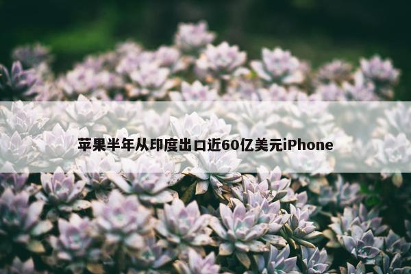 苹果半年从印度出口近60亿美元iPhone