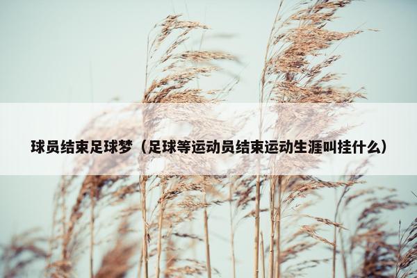 球员结束足球梦（足球等运动员结束运动生涯叫挂什么）